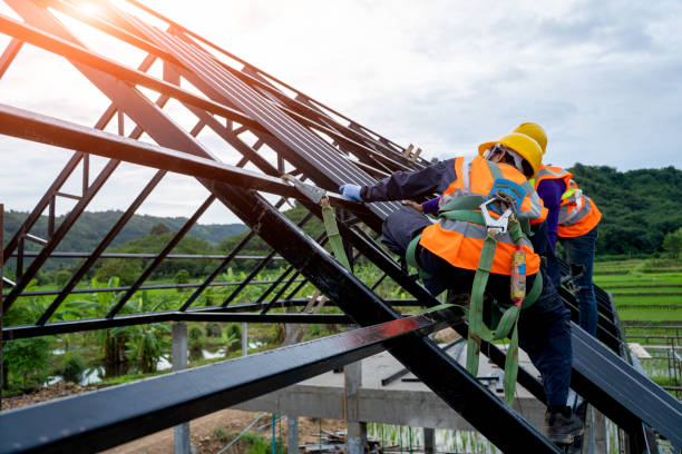 Best Residential Roofing Contractor  in New Lenox, IL