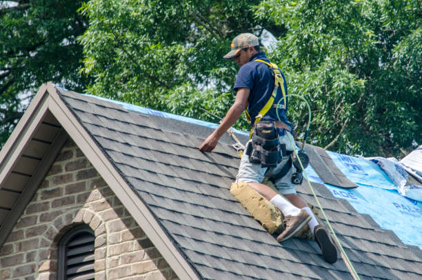 Best Roofing Contractor Near Me  in New Lenox, IL